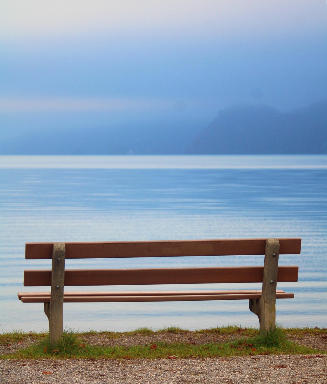 wooden bench, seat, fog, lake, lake thun, bank, silence, quiet, nature